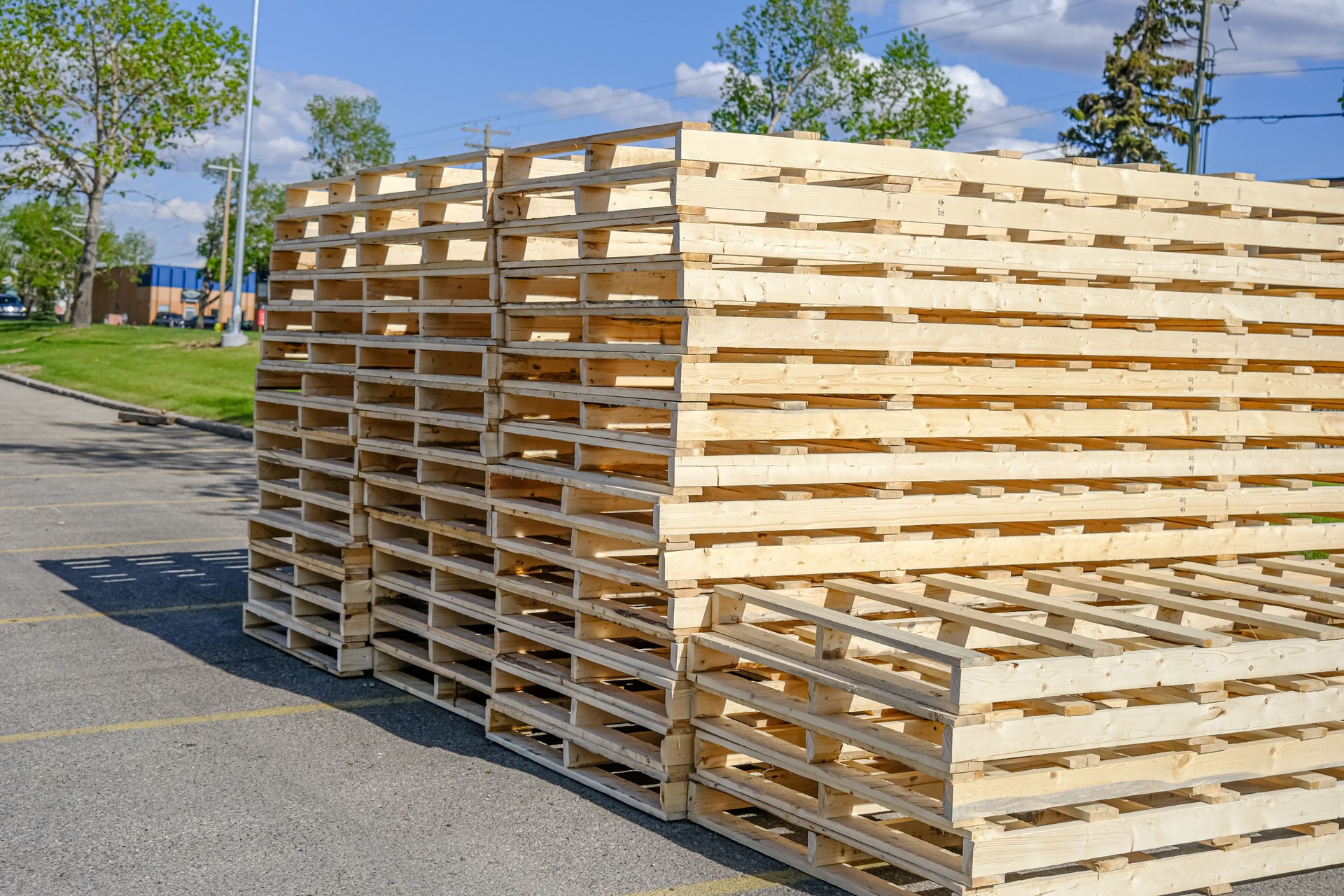 Wood Pallets at Factory ready for Shipping to Clients